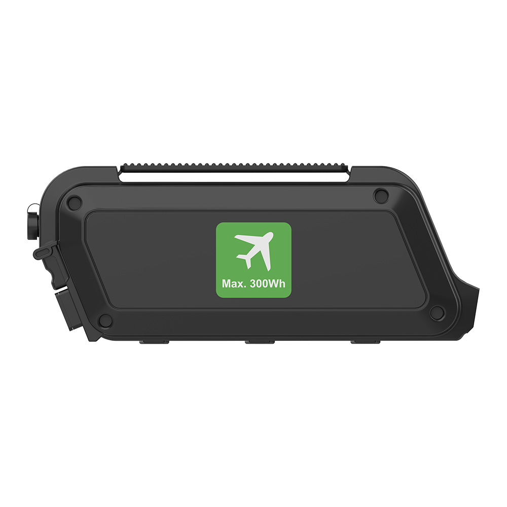 Rehasense PAWS Reiseakku / Flugbatterie 48 V, 5,8 Ah
