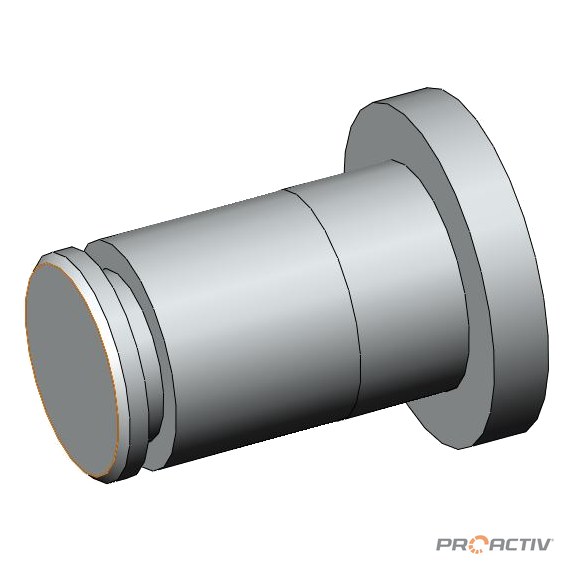 PRO ACTIV Ersatzteil – Bolzen