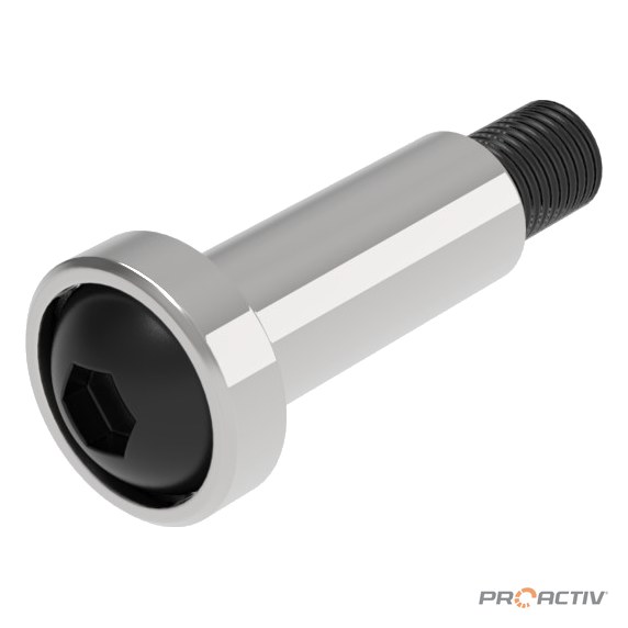 PRO ACTIV Ersatzteil – Passschraube 20 mm