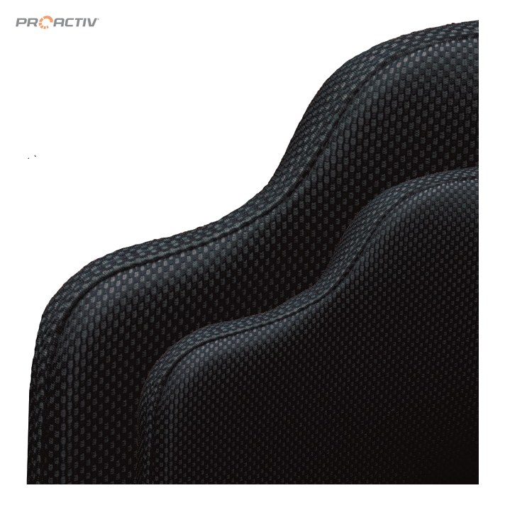 PRO ACTIV Ersatzteil – Rückenkissen für Ergonomie-Rückenschale