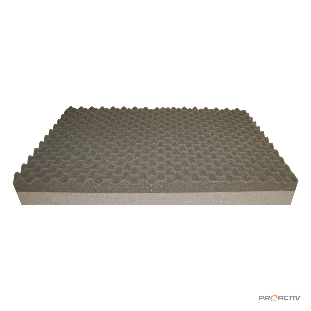 PRO ACTIV Ersatzteil – Sitzkisseninlett "PRO ACTIV