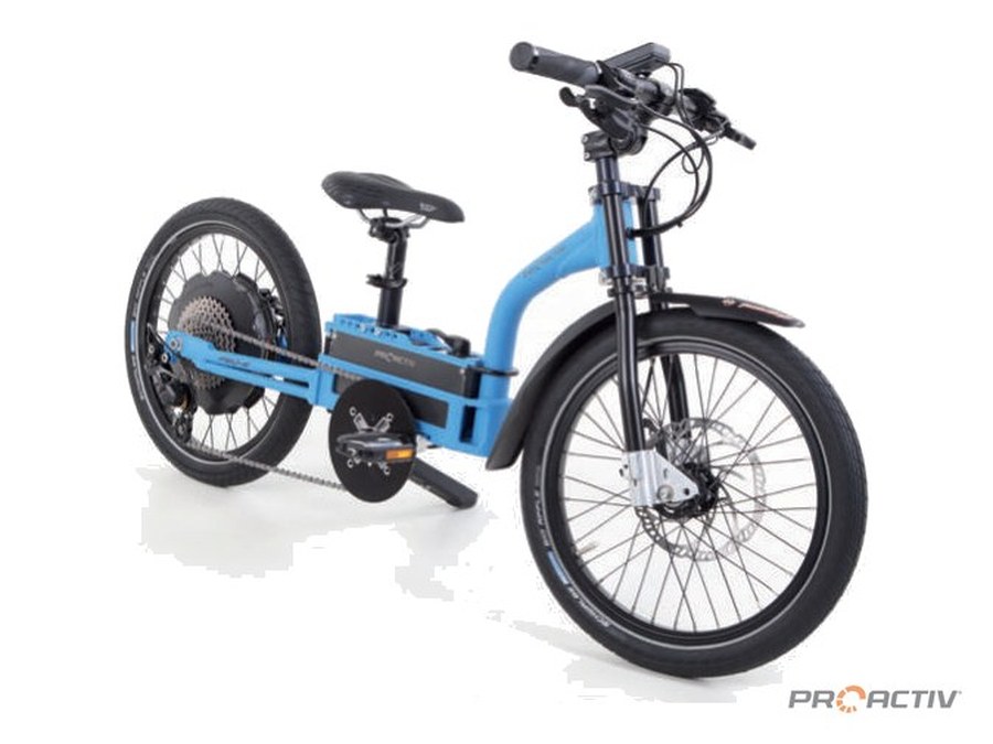 Pedelecs