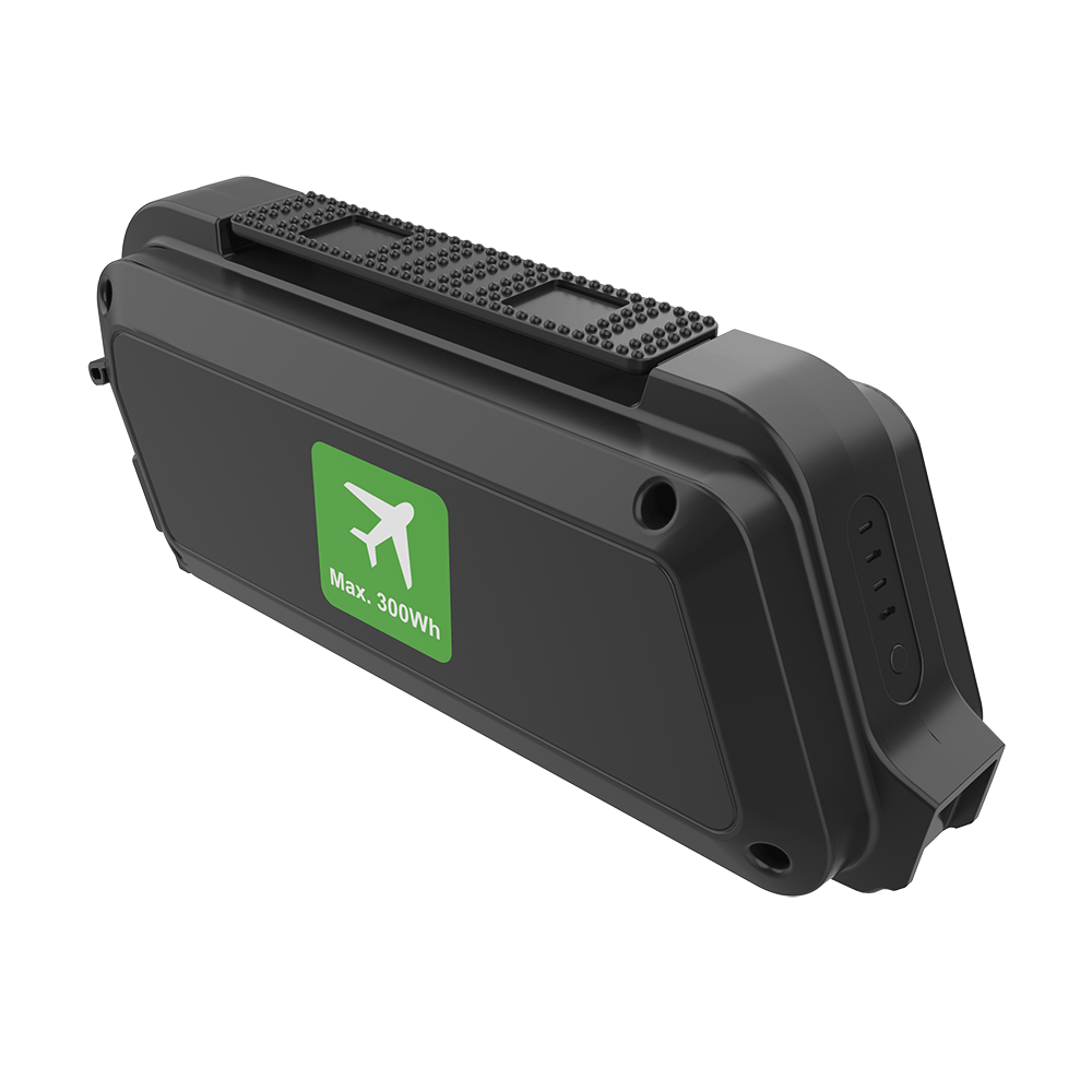 Rehasense PAWS Reiseakku / Flugbatterie 48 V, 5,8 Ah
