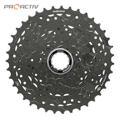 PRO ACTIV Ersatzteil – Kassette Cues 10-fach 11-43 Z