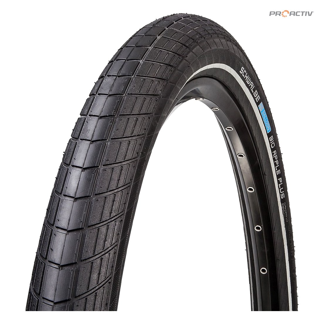 PRO ACTIV Ersatzteil – 20x2" BIG APPLE (50-406)