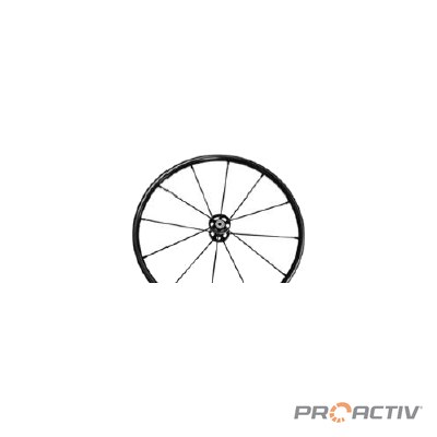 PRO ACTIV Ersatzteil – 25x1" (559) SPINERGY Laufrad Everyday