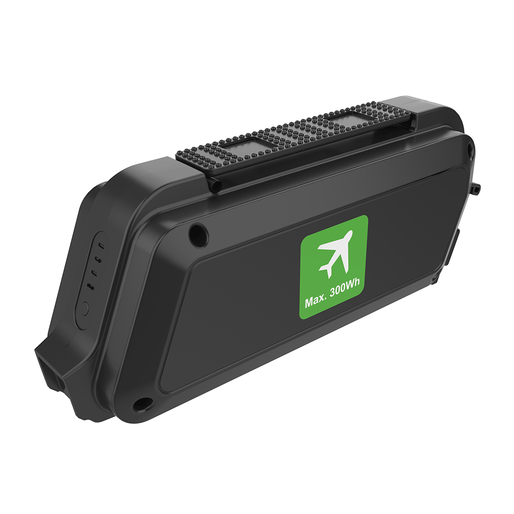 Rehasense PAWS Reiseakku / Flugbatterie 48 V, 5,8 Ah