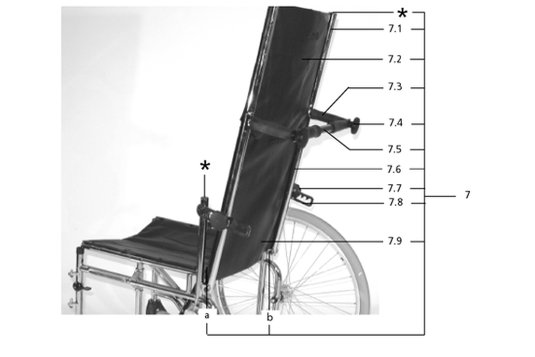 Rückengurthöhe 45cm (Code 636)