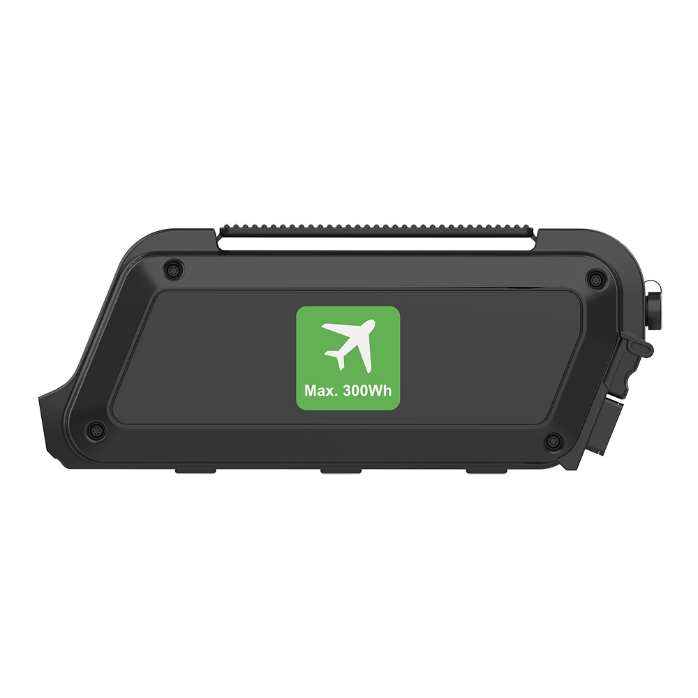 Rehasense PAWS Reiseakku / Flugbatterie 48 V, 5,8 Ah