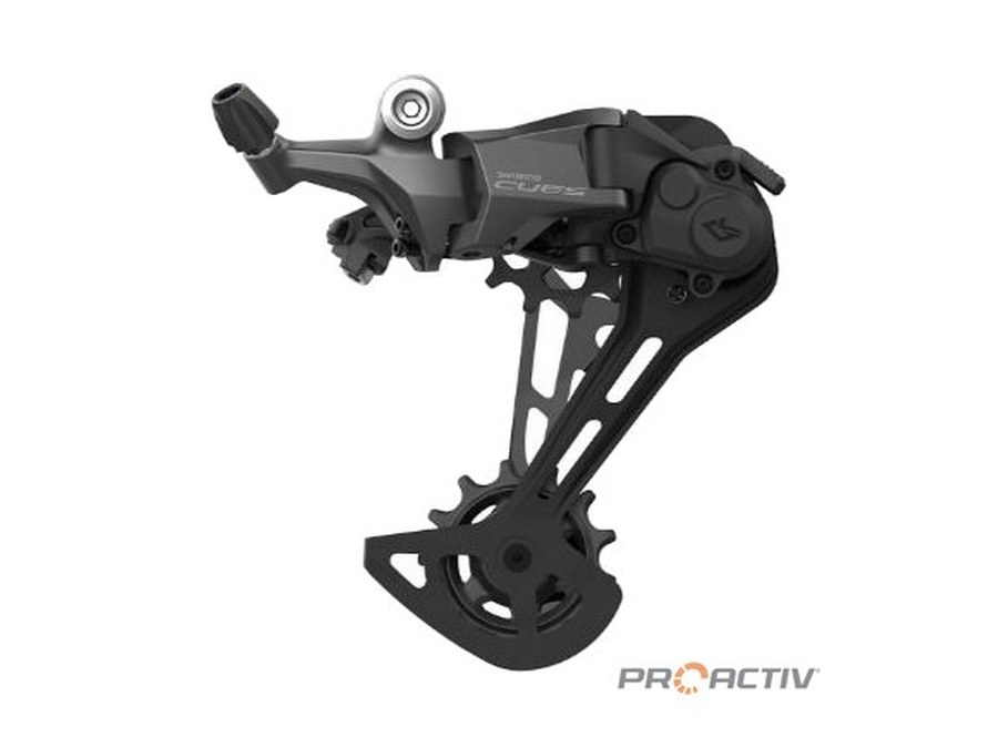 Cues 1x10 mechanisch und Di2
