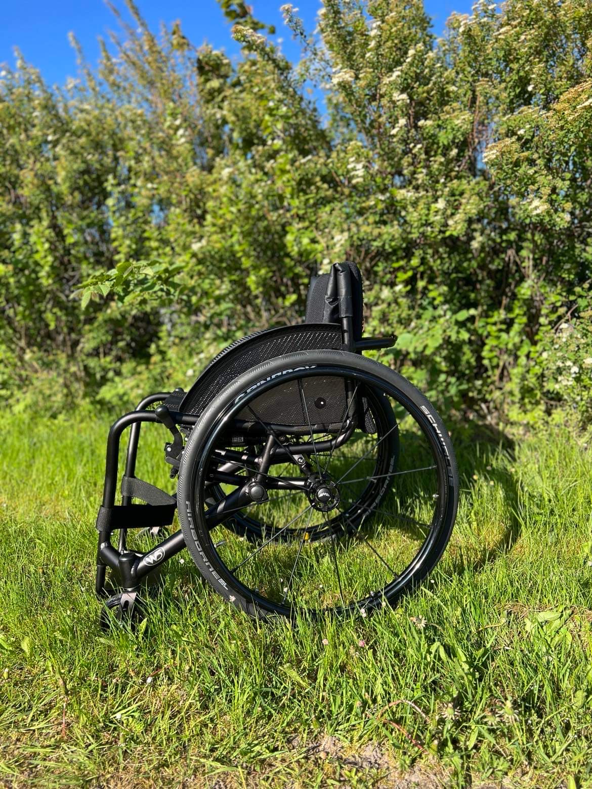 Wolturnus W5 Suspension auf einer Wiese vor einem Baum im Freien